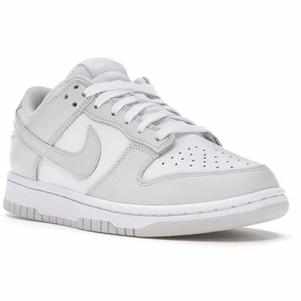 Nike Photon Dust Dunk Lows - MrDripZone